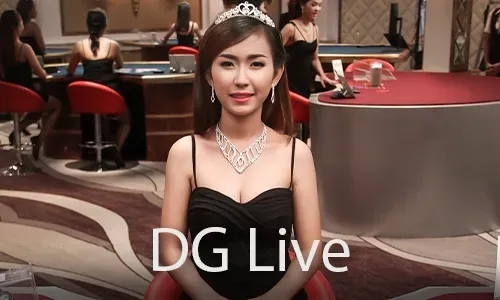 Live Chat Support
